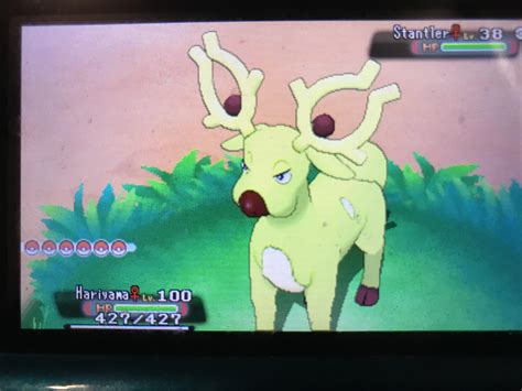 [6] Shiny Stantler appears at 206 Dexnav Encounters! : r/ShinyPokemon