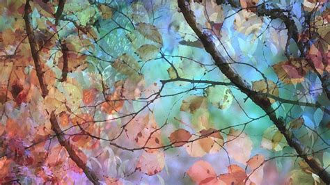 Watercolor Tree Wallpapers - Top Free Watercolor Tree Backgrounds - WallpaperAccess