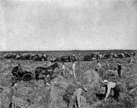 Marshalling Manpower on the Bonanza Farms of the Red River Valley - Farm Collector