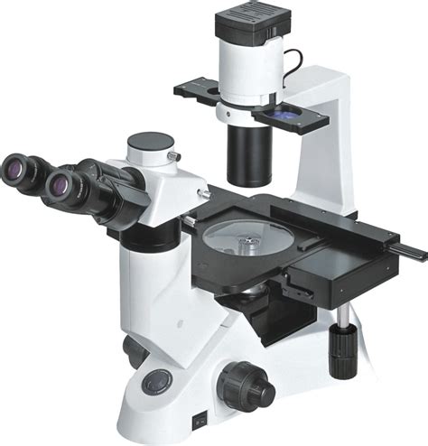 BIM500A9 Inverted Biological Microscope with 9.7" Tablet Camera