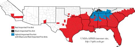 Imported Fire Ant History – Ant Pests
