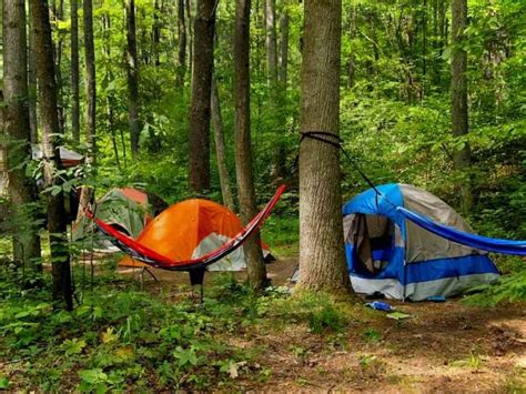 Best State Parks To Go Camping in Minnesota - Minnesota Campgrounds