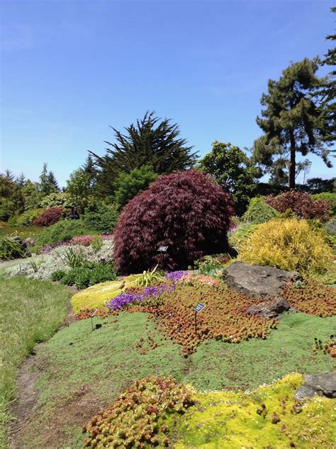 Mendocino Coast Botanical Gardens | Access Northern California