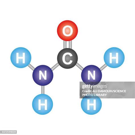 Chemical Structure Of Urea Photos and Premium High Res Pictures - Getty Images