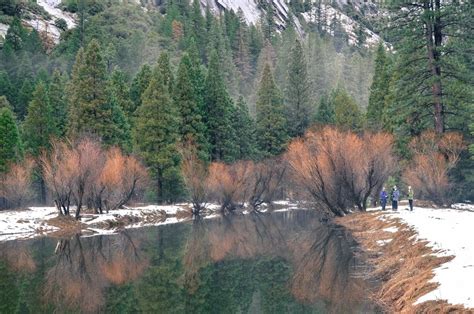 winter in yosemite national park -Life on Pine