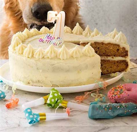 How To Make A Dog Cake With Dog Food - Cake Walls