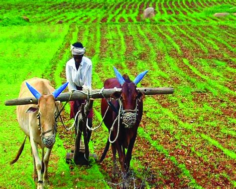 The story of policies and farmers working together