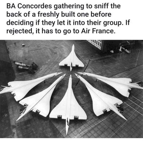 Concorde : r/aviationmemes