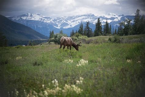 Photography Depth Of Field Examples