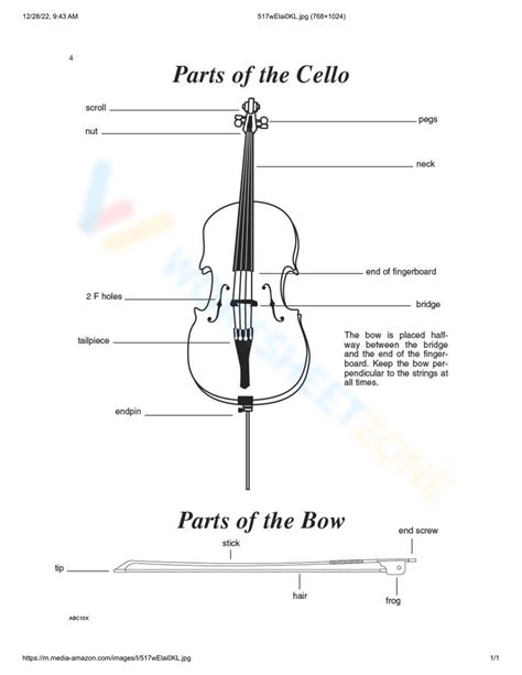 Free Printable Parts of The Violin Worksheets