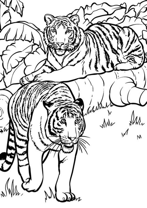 Free & Easy To Print Tiger Coloring Pages - Tulamama