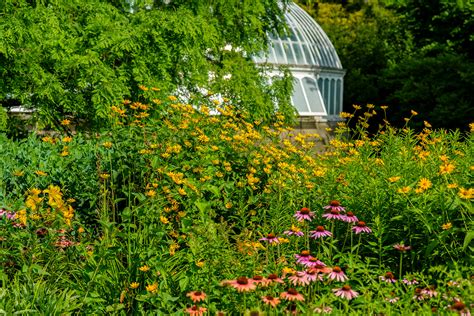 Pollinator Gardening Guide | Phipps Conservatory and Botanical Gardens | Pittsburgh PA