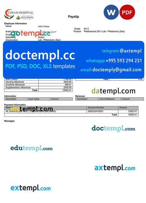 UAE Tawam Hospital payslip template in Word and PDF formats