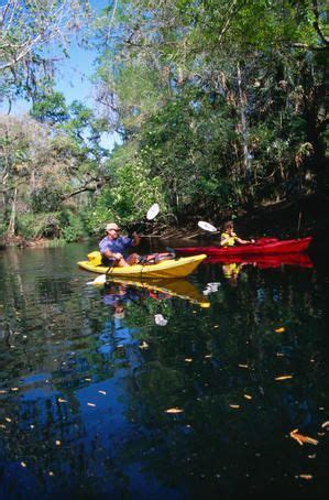 Pin by Veronica Bercaw on Florida...old and new | Florida vacation, Tampa bay area, Tampa florida