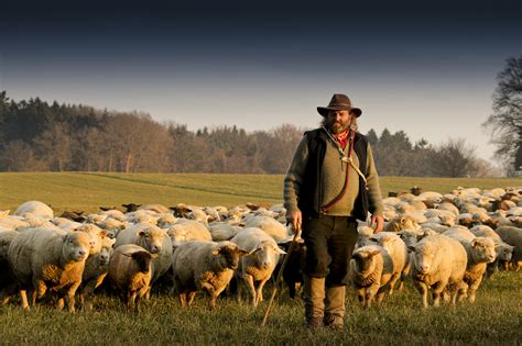 Italy Seeks Unesco Status for Ancient Tradition of Transhumance | ITALY Magazine