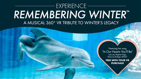 Remembering Winter the Dolphin - Clearwater Marine Aquarium