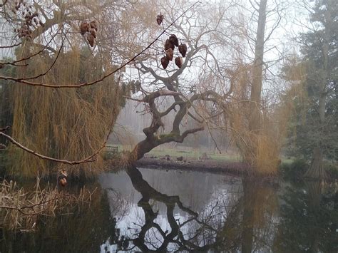 Cambridge Botanic Gardens Winter - Free photo on Pixabay - Pixabay