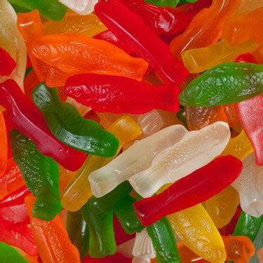 Sugar Free Gummy Fish Candy - 5lb Bulk | CandyStore.com