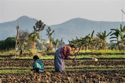 Village life in Odisha | Sephi Bergerson Photography