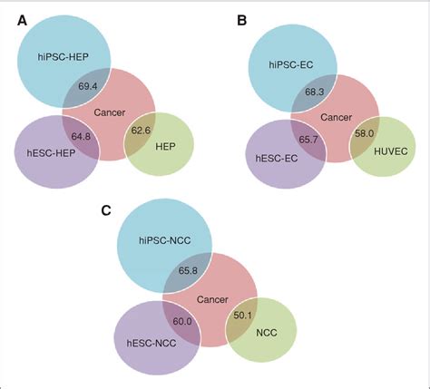 Figure 1 from Tumor and Stem Cell Biology Dissecting the Oncogenic and Tumorigenic Potential of ...