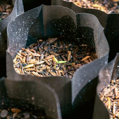 Using Grow Bags to Grow Tomatoes in Small Spaces - Farm to Jar