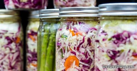 The vast benefits of home fermenting are becoming more widely known. How easy is it to get ...