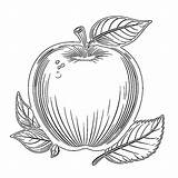 Premium Photo  Apple coloring page sketch template