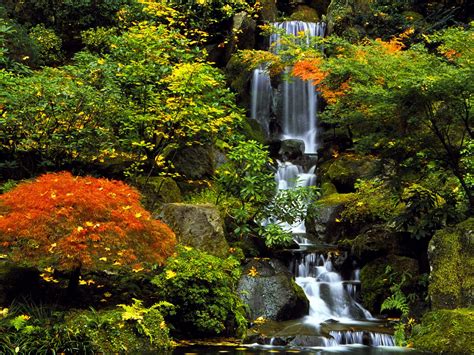 Bravo Wallpaper: Beautiful Country Japan Wallpapers