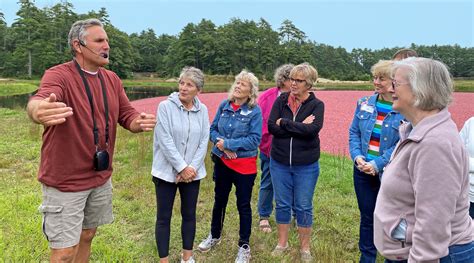 Massachusetts Cranberries Launches Registration for Cranberry Harvest ...