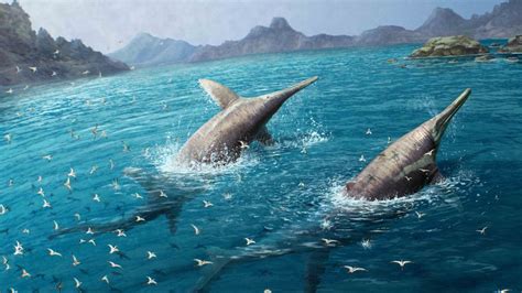 11-year-old’s fossil discovery reveals ancient creature larger than a blue whale
