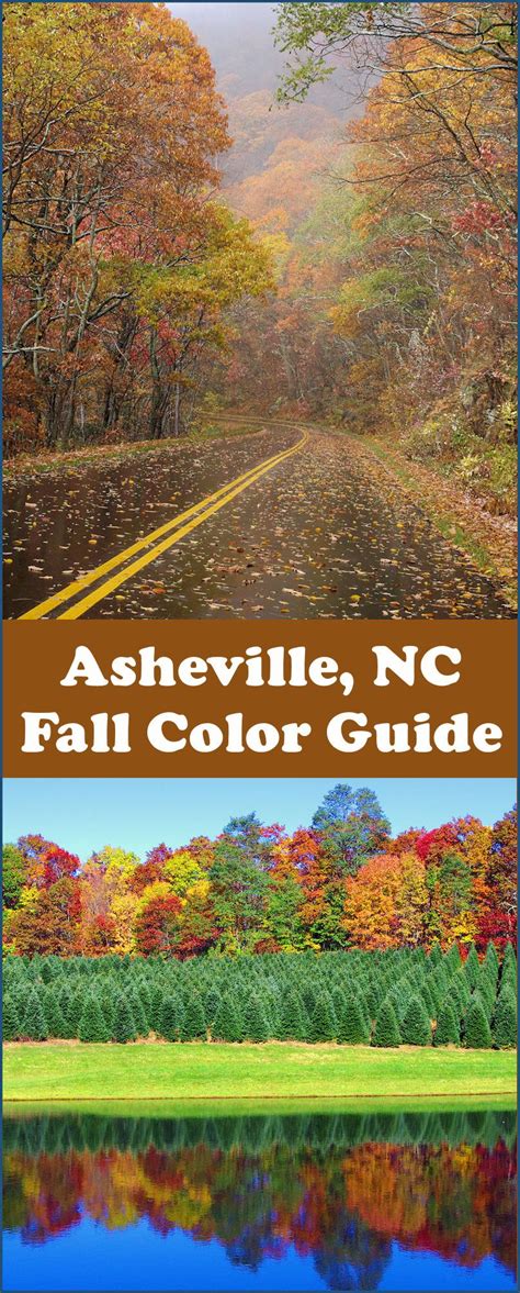 See the Asheville NC Fall Foliage Forecast and guide for peak color and ...