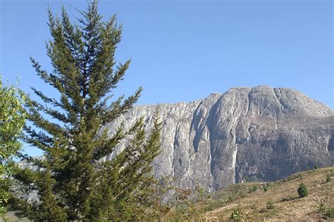 Mount Mulanje Ecosystem Restoration by WeForest