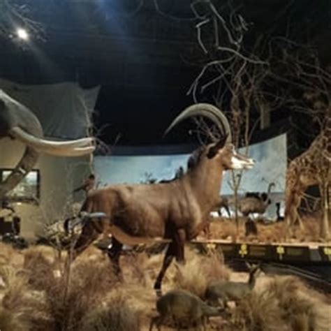 Anniston Museum of Natural History - Museums - 800 Museum Dr, Anniston ...