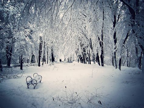 Winter Snow Scenes Wallpapers - Wallpaper Cave