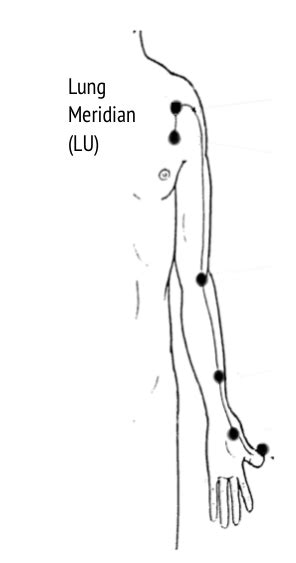 Shiatsu Meridian Theory - the Lung Meridian — Self Healing Australia