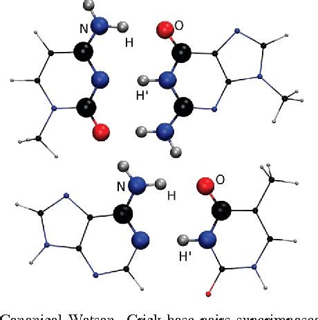 Figure 1 from Enol tautomers of Watson-Crick base pair models are metastable because of nuclear ...