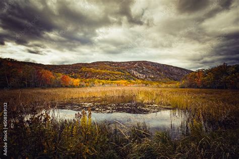 Fall in the Acadia National Park with colorful fall foliage and dramatic clouds Stock Photo ...