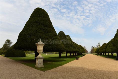 Hampton Court Gardens stock photo. Image of henryviii - 72252232