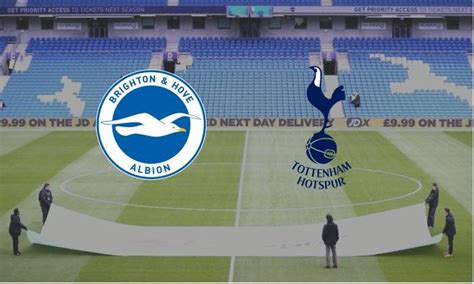 Brighton v Tottenham: Confirmed team news and preview for Premier League clash