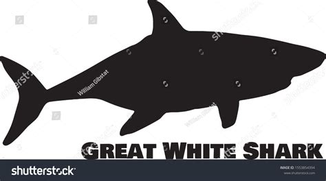 Great White Shark Silhouette On White Stock Vector (Royalty Free) 1553854394 | Shutterstock