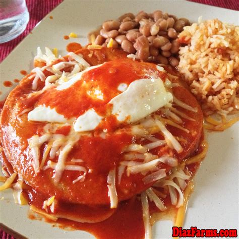 Stacked New Mexico Red Chile Cheese Enchiladas | Mexico food, Mexican ...