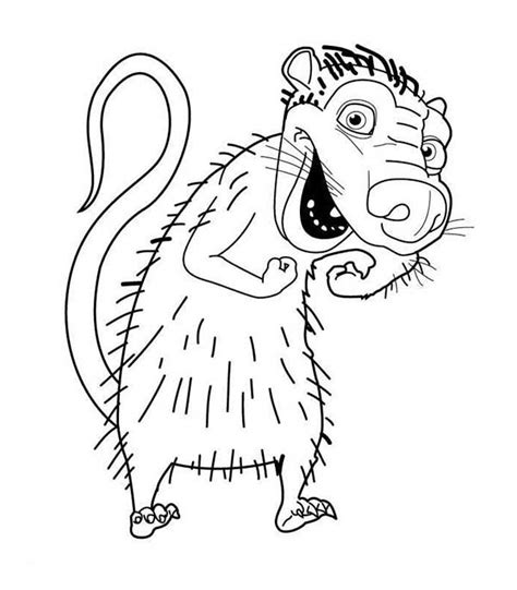 Opossum Drawing at GetDrawings | Free download