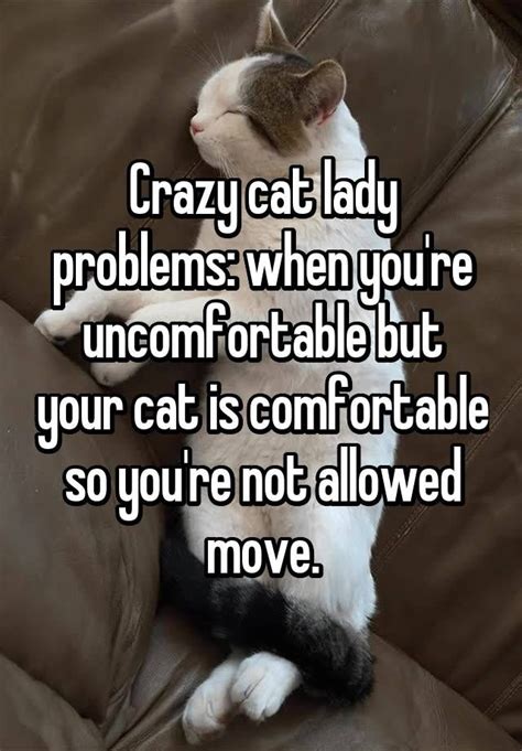 "Crazy cat lady problems: when you're uncomfortable but your cat is comfortable so you're not ...