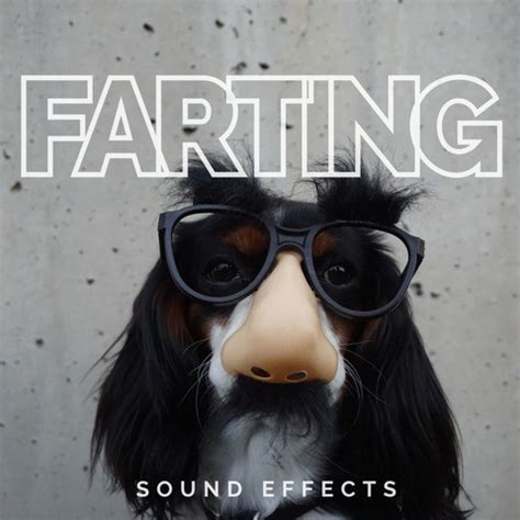 Farting Sound Effects Song Download: Farting Sound Effects MP3 Song ...