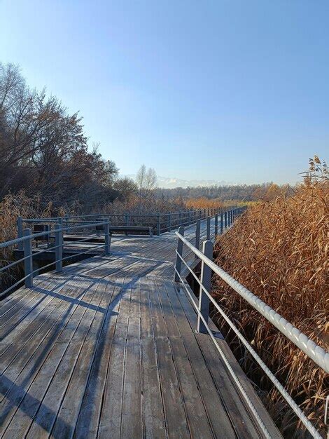 Premium Photo | Winter landscape on the river