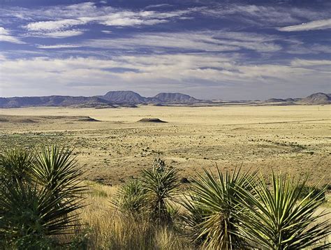 West Texas Landscape | Beautiful places to visit, Landscape photos, Landscape