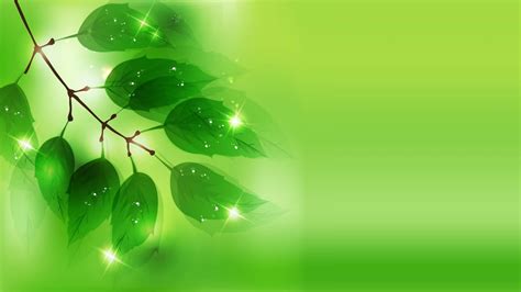 green-background-vector-wallpaper-wallpaper-green-for-desktop ...