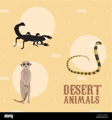 Desert animals cartoon Stock Vector Image & Art - Alamy