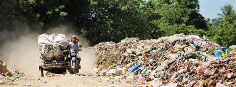 Garbage Pollution: The Reasons, Effects and Solutions