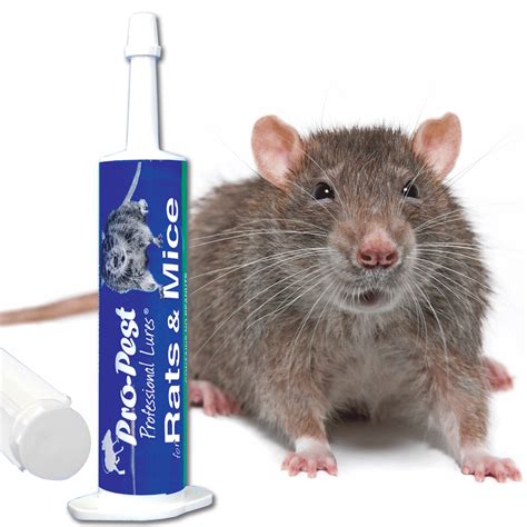 Pro-Pest Mice & Rats Lure - A Do It Yourself Pest Control Store